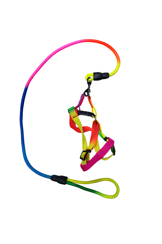 Ham și lesă pentru câini – Set ajustabil multicolor, rezistent și confortabil